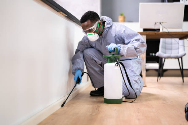 Emergency Pest Control Services in Canby, OR